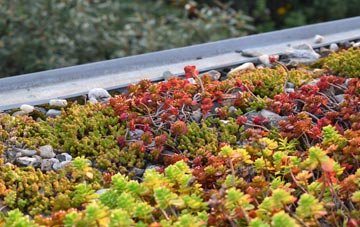 the cost of East Fleet green roof installation