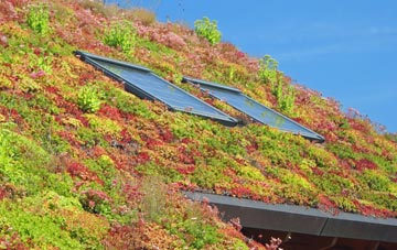 East Fleet living roof systems