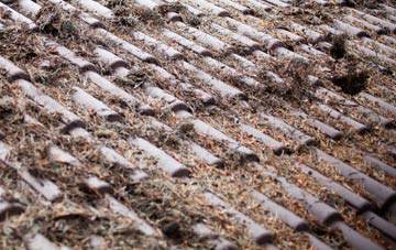 East Fleet roof cleaning companies