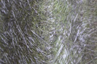 East Fleet fibreglass roof work